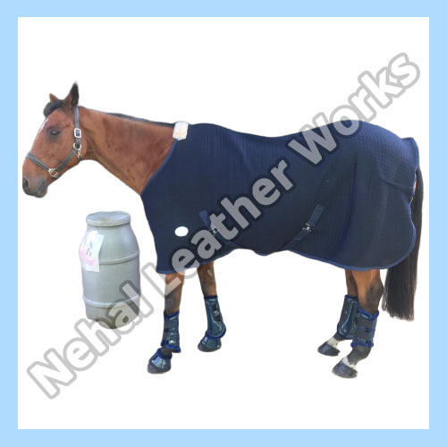 Horse Blanket In Peru